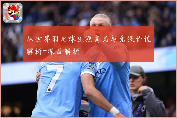 从世界羽毛球生涯高光与竞技价值解析-深度解析