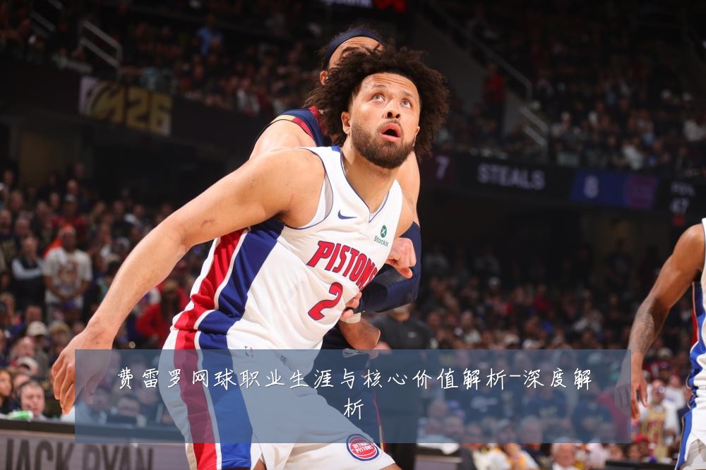 费雷罗网球职业生涯与核心价值解析-深度解析